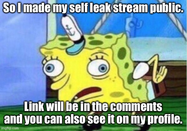 lol, the link is in the comments. | So I made my self leak stream public. Link will be in the comments and you can also see it on my profile. | image tagged in memes,mocking spongebob | made w/ Imgflip meme maker