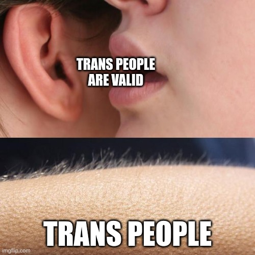 Whisper and Goosebumps | TRANS PEOPLE ARE VALID; TRANS PEOPLE | image tagged in whisper and goosebumps | made w/ Imgflip meme maker