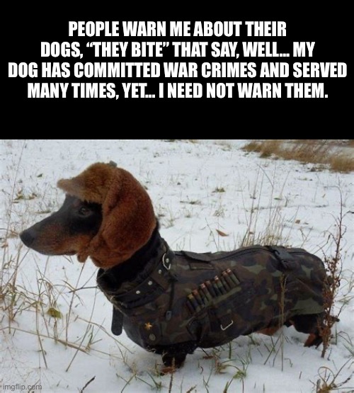 MOSKOW DOGE | PEOPLE WARN ME ABOUT THEIR DOGS, “THEY BITE” THAT SAY, WELL… MY DOG HAS COMMITTED WAR CRIMES AND SERVED MANY TIMES, YET… I NEED NOT WARN THEM. | image tagged in russian dog,funny memes,dogs,first world problems,military | made w/ Imgflip meme maker