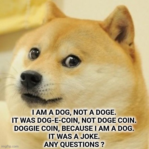 Doge | I AM A DOG, NOT A DOGE.
IT WAS DOG-E-COIN, NOT DOGE COIN.
DOGGIE COIN, BECAUSE I AM A DOG.
IT WAS A JOKE.
ANY QUESTIONS ? | image tagged in memes,doge | made w/ Imgflip meme maker