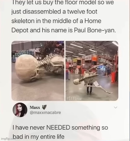 I wish i could get one of the damn plastic skeletons bro | made w/ Imgflip meme maker