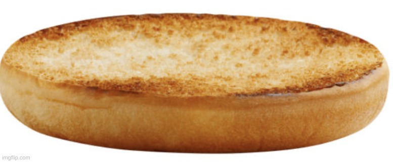 Bottom bun | image tagged in bottom bun | made w/ Imgflip meme maker