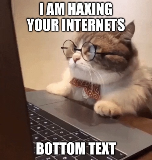 2000s ass meme | I AM HAXING YOUR INTERNETS; BOTTOM TEXT | image tagged in cat on computer | made w/ Imgflip meme maker