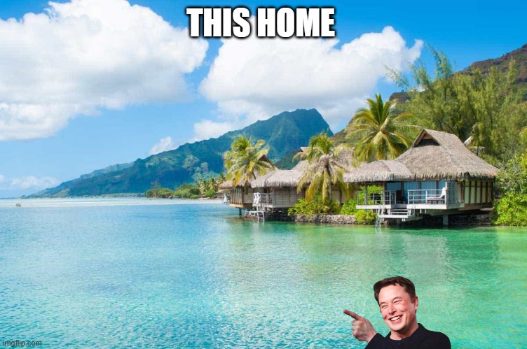 tahiti | THIS HOME | image tagged in tahiti | made w/ Imgflip meme maker