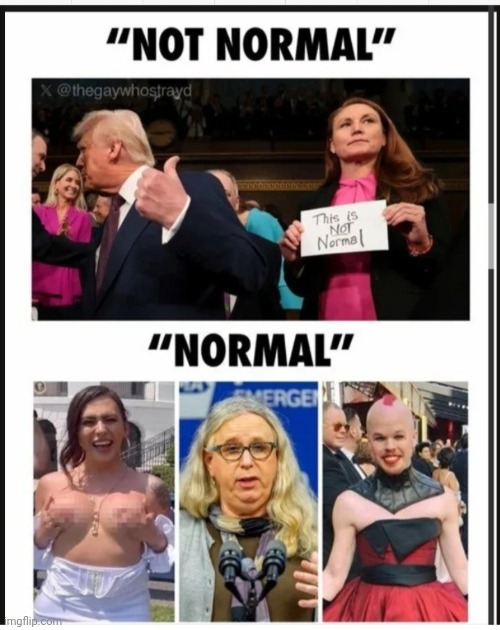 Ya OK Libs... | image tagged in libtards,morons,losers,weirdo | made w/ Imgflip meme maker