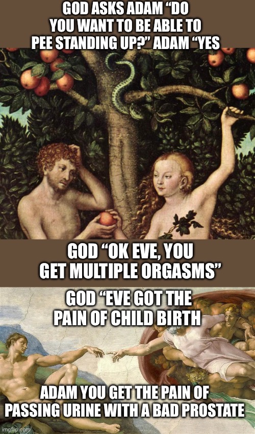 Is it six of one or a half dozen of the other? Is the grass greener on the other side of the fence? | GOD ASKS ADAM “DO YOU WANT TO BE ABLE TO PEE STANDING UP?” ADAM “YES; GOD “OK EVE, YOU GET MULTIPLE ORGASMS”; GOD “EVE GOT THE PAIN OF CHILD BIRTH; ADAM YOU GET THE PAIN OF PASSING URINE WITH A BAD PROSTATE | image tagged in adam and eve,creation of adam,pee standing,multiple orgasms,child birth,bad prostate | made w/ Imgflip meme maker