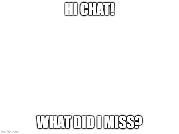 HI CHAT! WHAT DID I MISS? | image tagged in news | made w/ Imgflip meme maker