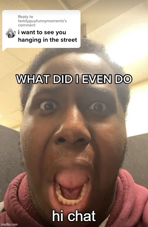WHAT DID I EVEN DO??? | hi chat | image tagged in what did i even do | made w/ Imgflip meme maker