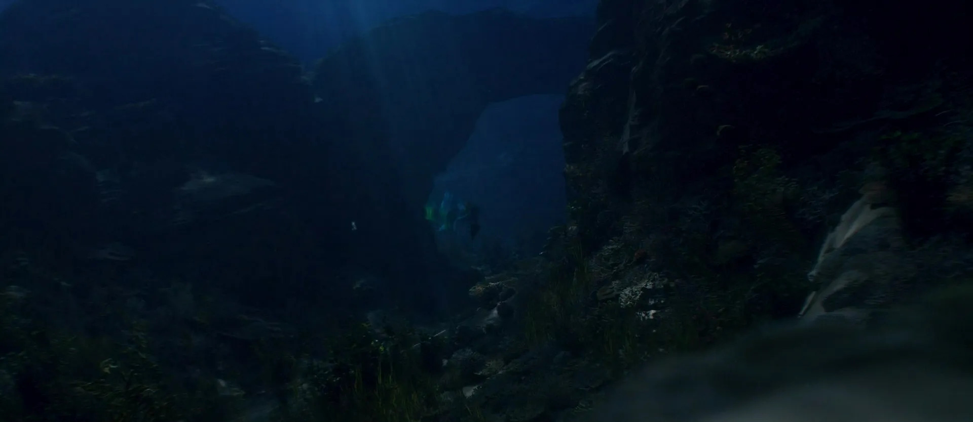 under the sea Blank Meme Template