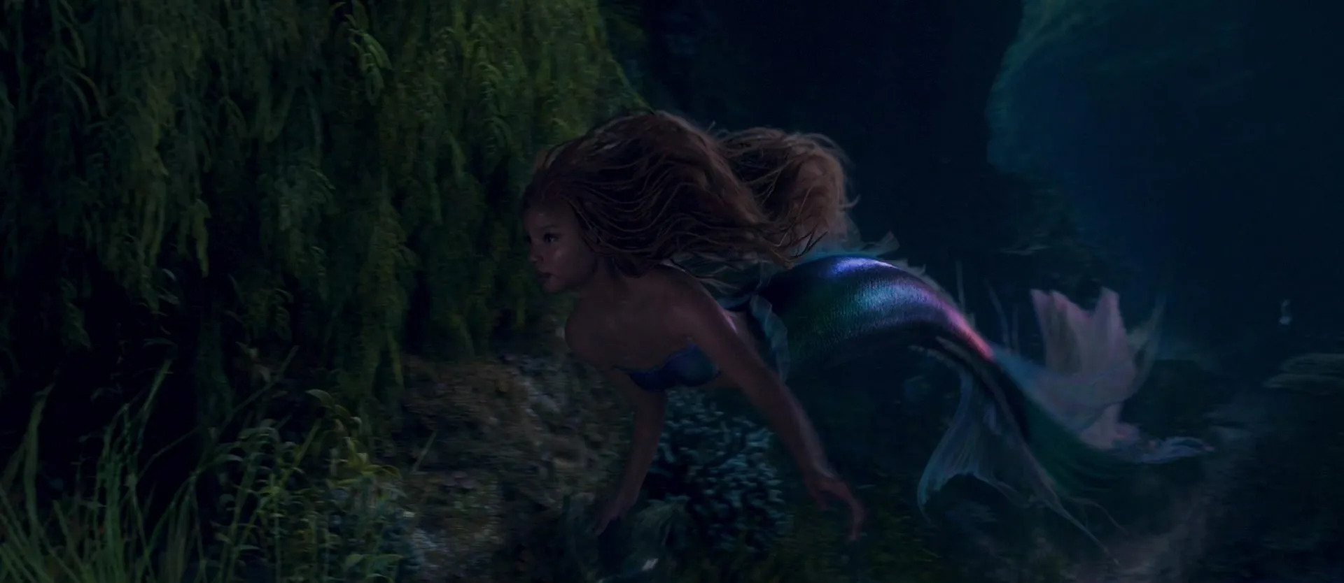 mermaid halle swimming Blank Meme Template