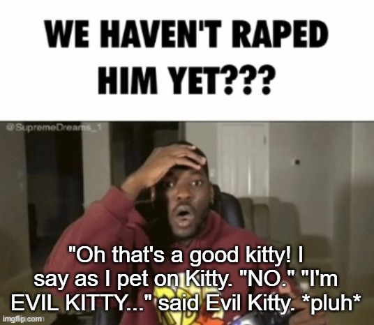 we have not | "Oh that's a good kitty! I say as I pet on Kitty. "NO." "I'm EVIL KITTY..." said Evil Kitty. *pluh* | image tagged in we have not | made w/ Imgflip meme maker