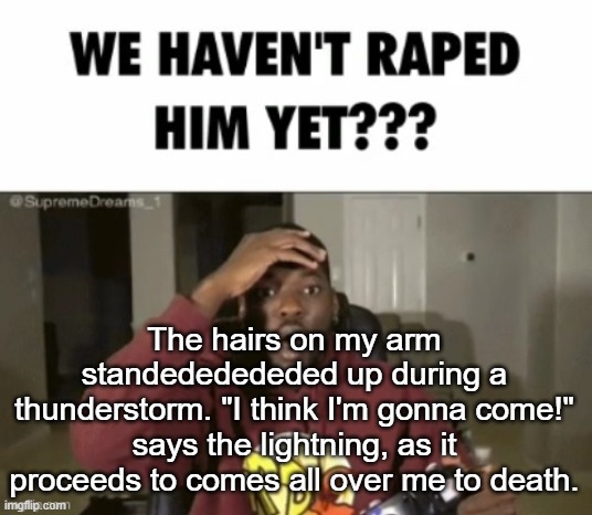 we have not | The hairs on my arm standededededed up during a thunderstorm. "I think I'm gonna come!" says the lightning, as it proceeds to comes all over me to death. | image tagged in we have not | made w/ Imgflip meme maker