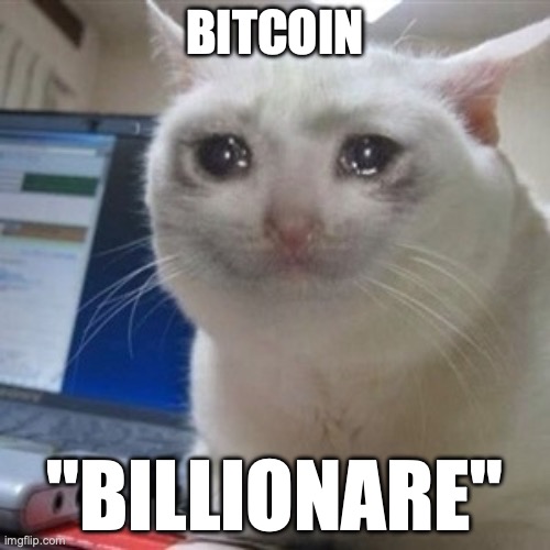 Crying cat | BITCOIN; "BILLIONARE" | image tagged in crying cat | made w/ Imgflip meme maker