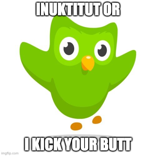 things duolingo teaches you | INUKTITUT OR; I KICK YOUR BUTT | image tagged in things duolingo teaches you,duolingo | made w/ Imgflip meme maker