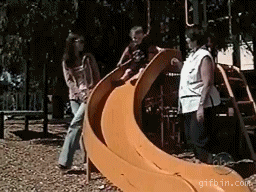 image tagged in funny,gifs