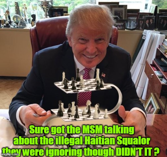 Sure got the MSM talking about the illegal Haitian Squalor they were ignoring though DIDN'T IT ? | made w/ Imgflip meme maker