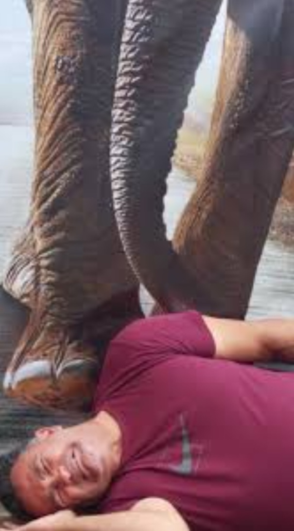 Elephant Blank Meme Template