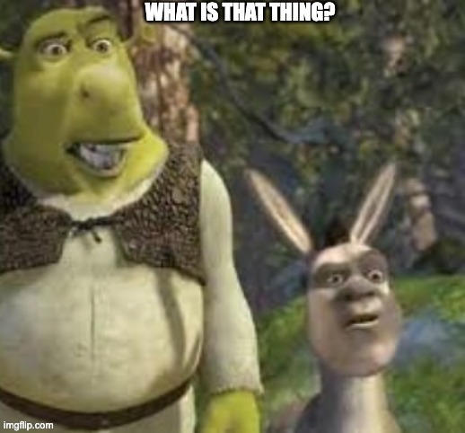 What is that thing? | image tagged in what is that thing | made w/ Imgflip meme maker