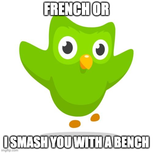 things duolingo teaches you | FRENCH OR; I SMASH YOU WITH A BENCH | image tagged in things duolingo teaches you,duolingo | made w/ Imgflip meme maker