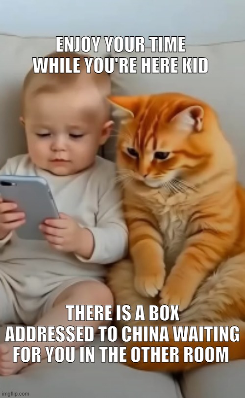 Boss Cat | ENJOY YOUR TIME WHILE YOU'RE HERE KID; THERE IS A BOX ADDRESSED TO CHINA WAITING FOR YOU IN THE OTHER ROOM | image tagged in cats,cat joke,funny memes,funny cats,cat memes | made w/ Imgflip meme maker