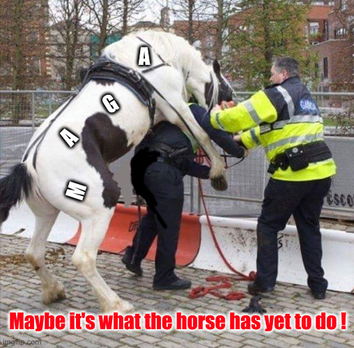 Police Horse | M Maybe it's what the horse has yet to do ! A G A | image tagged in police horse | made w/ Imgflip meme maker