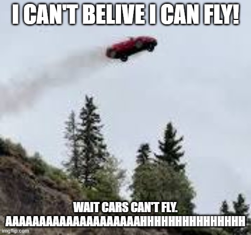 Car driving off a cliff (RIP) | I CAN'T BELIVE I CAN FLY! WAIT CARS CAN'T FLY. AAAAAAAAAAAAAAAAAAAAHHHHHHHHHHHHHHH | image tagged in car driving off a cliff rip | made w/ Imgflip meme maker