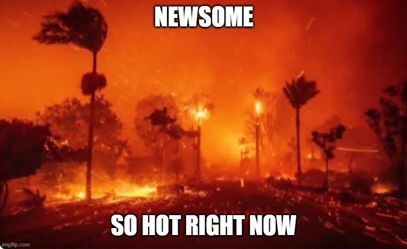 LA Fires 2025 | NEWSOME SO HOT RIGHT NOW | image tagged in la fires 2025 | made w/ Imgflip meme maker