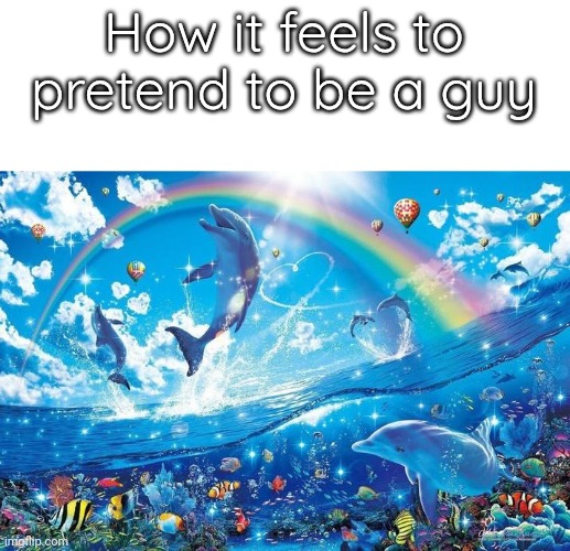 Happy dolphin rainbow | How it feels to pretend to be a guy | image tagged in happy dolphin rainbow | made w/ Imgflip meme maker