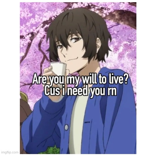 hehe | image tagged in bsd,dazai | made w/ Imgflip meme maker