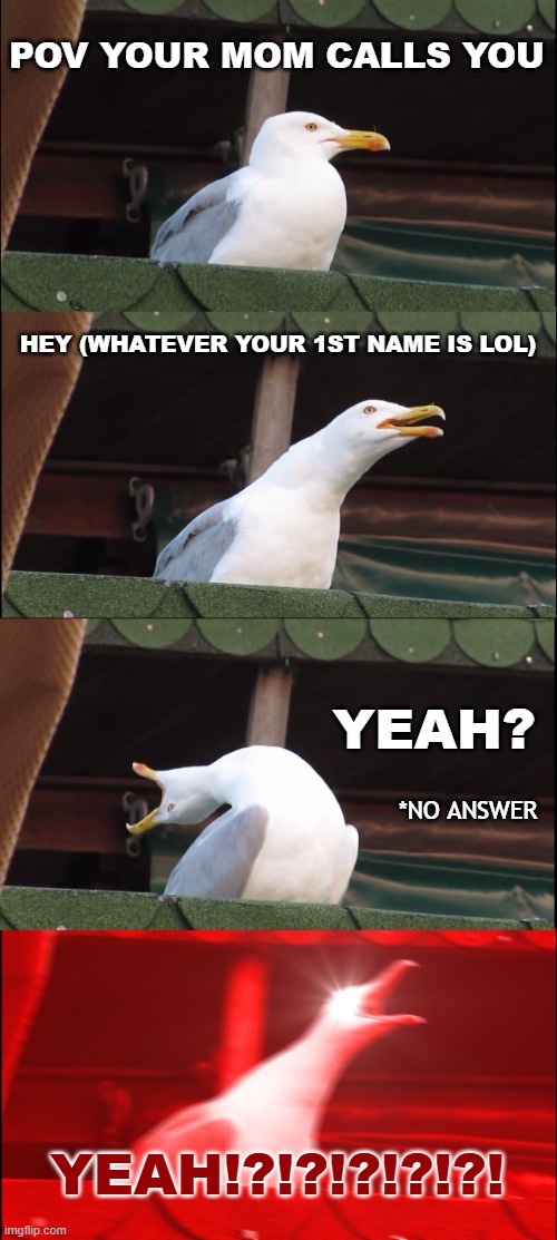 Inhaling Seagull | POV YOUR MOM CALLS YOU; HEY (WHATEVER YOUR 1ST NAME IS LOL); YEAH? *NO ANSWER; YEAH!?!?!?!?!?! | image tagged in memes,inhaling seagull | made w/ Imgflip meme maker