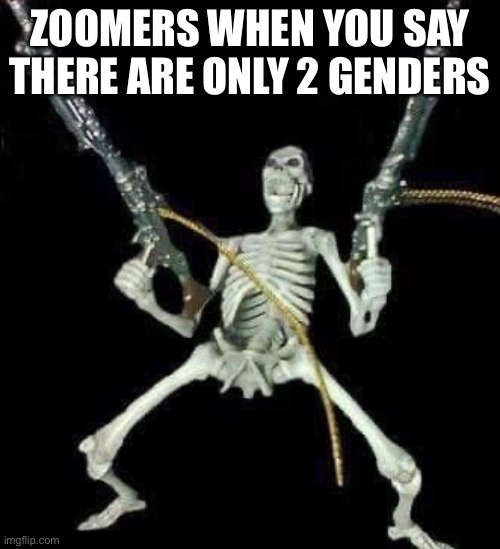 skeleton with guns meme | ZOOMERS WHEN YOU SAY THERE ARE ONLY 2 GENDERS | image tagged in skeleton with guns meme,zoomer,zoom,millennial,gen z,attack helicopter | made w/ Imgflip meme maker