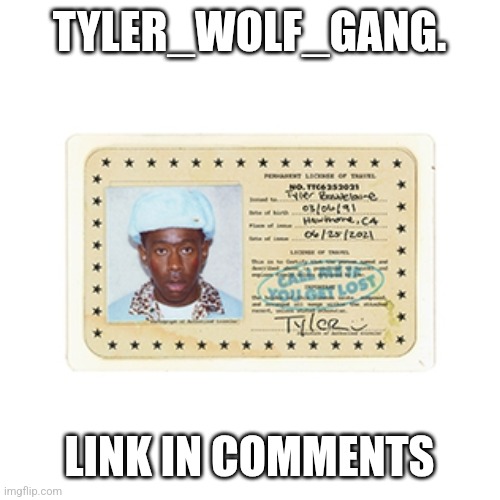 TYLER_WOLF_GANG. LINK IN COMMENTS | made w/ Imgflip meme maker