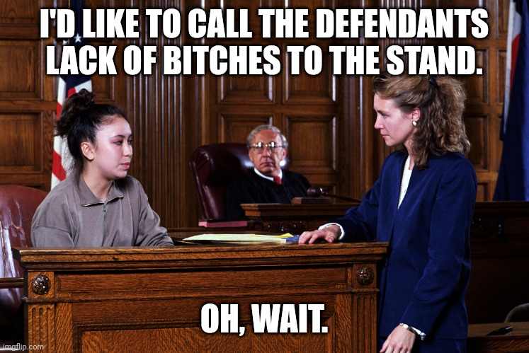 Lack of bitches, your Honor | I'D LIKE TO CALL THE DEFENDANTS LACK OF BITCHES TO THE STAND. OH, WAIT. | image tagged in memes,no bitches,court | made w/ Imgflip meme maker