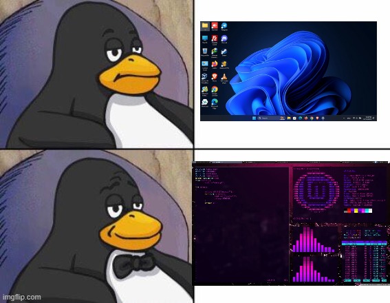 windows is boring. I'll soon switch a laptop to linux mint and maybe do some ricing | image tagged in linux penguin tux tuxedo,linux mint,ricing,windows is boring | made w/ Imgflip meme maker