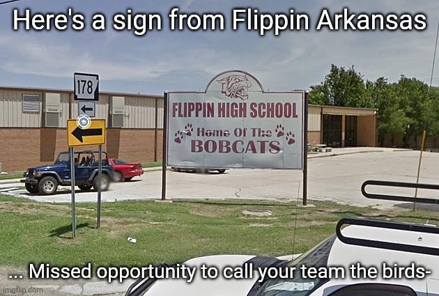 Flippin birds- oh wait bobcats | Here's a sign from Flippin Arkansas; ... Missed opportunity to call your team the birds- | made w/ Imgflip meme maker
