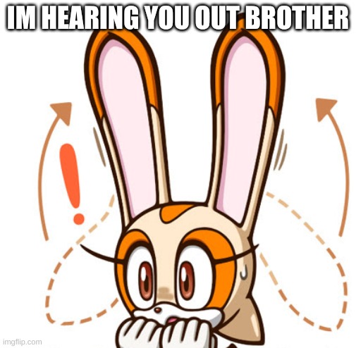 Im hearing you out | IM HEARING YOU OUT BROTHER | image tagged in funny memes | made w/ Imgflip meme maker