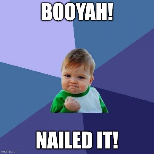 Baby Celebrates | BOOYAH! NAILED IT! | image tagged in memes,success kid | made w/ Imgflip meme maker