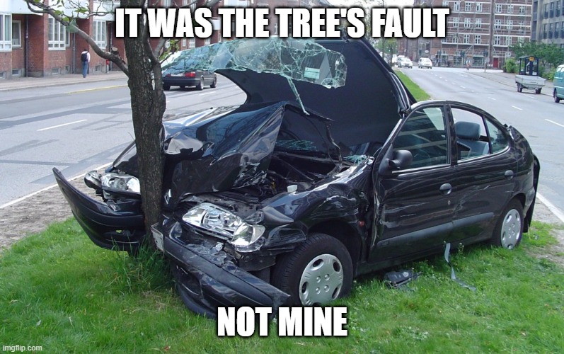 Car Crash | IT WAS THE TREE'S FAULT; NOT MINE | image tagged in car crash | made w/ Imgflip meme maker