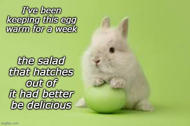 Vegetarian tragedy | I've been keeping this egg warm for a week; the salad that hatches out of it had better be delicious | image tagged in bunny with green egg,food,salad,vegetarian,disappointment | made w/ Imgflip meme maker