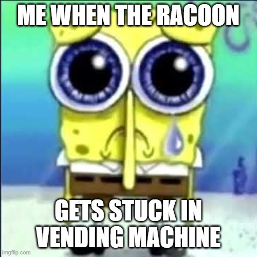 ME WHEN THE RACOON GETS STUCK IN VENDING MACHINE | image tagged in sad spongebob | made w/ Imgflip meme maker