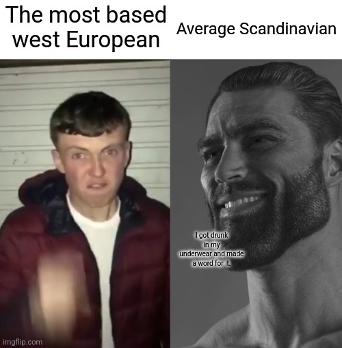 Context: the word is "Kalsarikänni'" | Average Scandinavian; The most based west European; I got drunk in my underwear and made a word for it. | image tagged in average fan vs average enjoyer | made w/ Imgflip meme maker