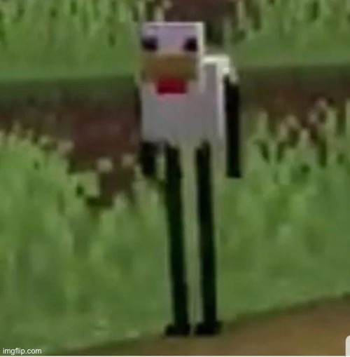 Cursed Minecraft chicken | image tagged in cursed minecraft chicken,funny memes,words of wisdom,animals,minecraft | made w/ Imgflip meme maker