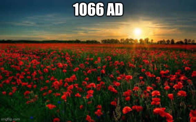 Roses Feild | 1066 AD | image tagged in roses feild | made w/ Imgflip meme maker