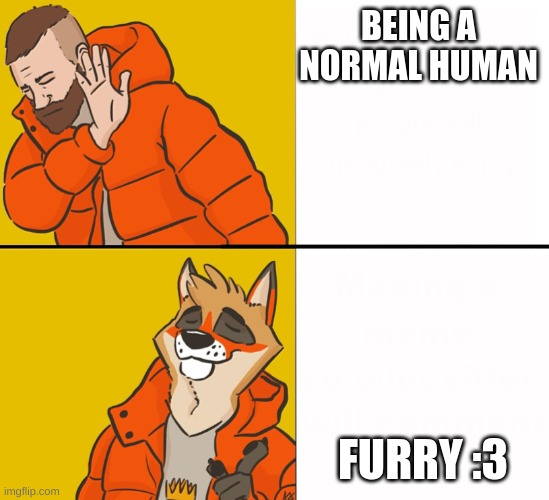 Too normal for me! :3 OwO | BEING A NORMAL HUMAN; FURRY :3 | image tagged in furry drake,furry,funny | made w/ Imgflip meme maker