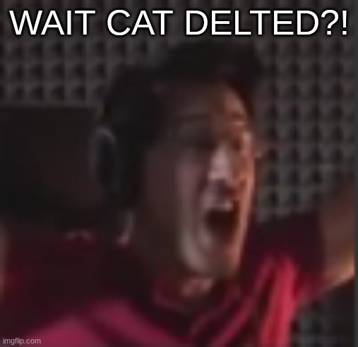 YAHH | WAIT CAT DELTED?! | made w/ Imgflip meme maker
