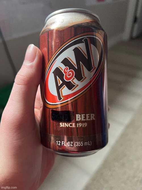 Look guys I’m drinking plain beer frfr | made w/ Imgflip meme maker