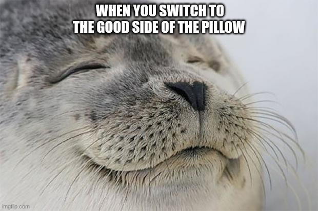 f= | WHEN YOU SWITCH TO THE GOOD SIDE OF THE PILLOW | image tagged in memes,satisfied seal | made w/ Imgflip meme maker