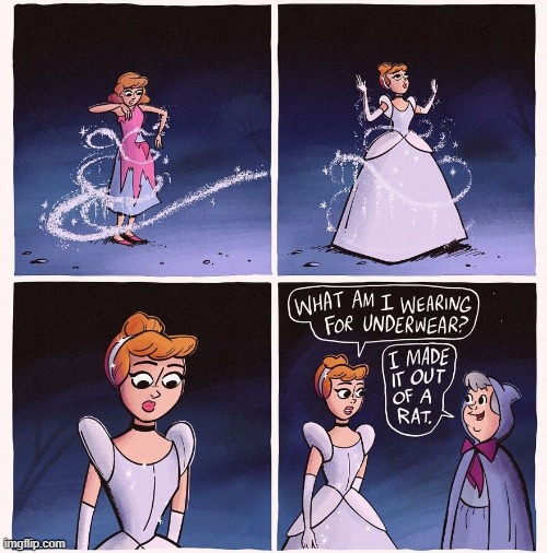 Cinderella's Undies | image tagged in comics | made w/ Imgflip meme maker
