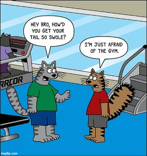 Gym Scare | image tagged in comics | made w/ Imgflip meme maker