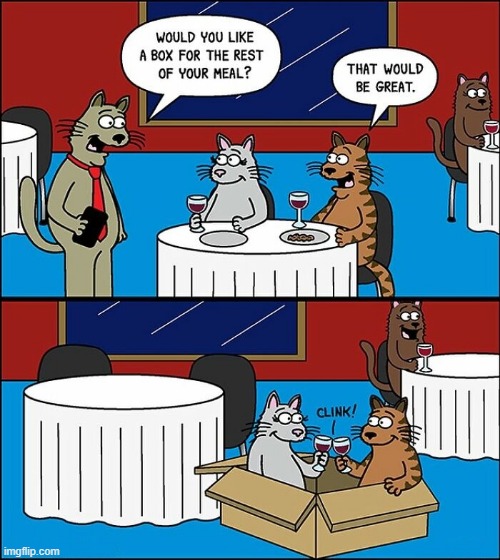 A Box | image tagged in comics | made w/ Imgflip meme maker
